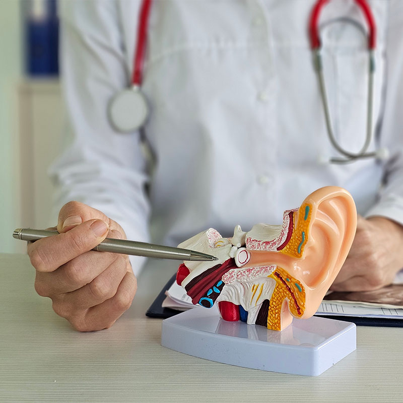 Those with Balance, Vestibular, or Neurological Challenges